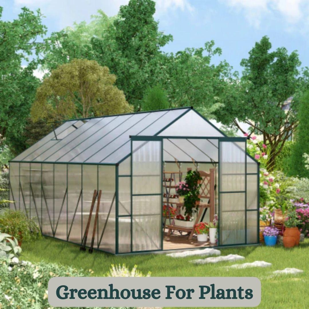 Buy Greenhouse For Plants | Plant and Pot Co.